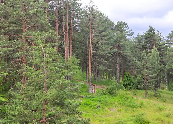 Zlatibor Holiday, Vila Leonardo VI
