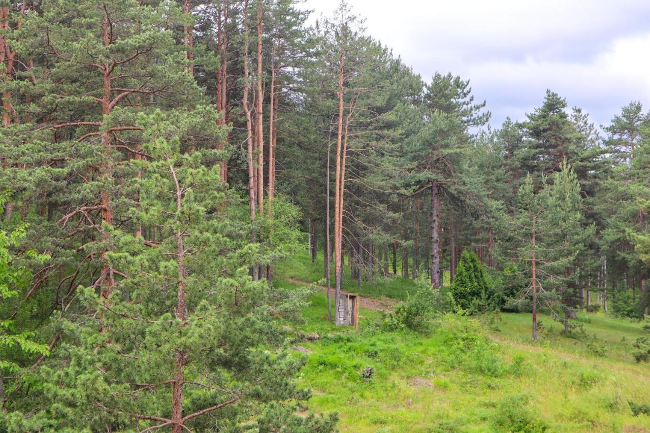 Holiday, Leonardo Vi Apartment Zlatibor